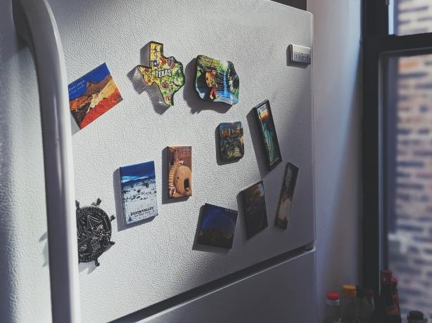 Preserving Flavor: How Reach-In Refrigerators Extend the Shelf Life of Perishable Goods